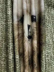 3D Animal Print Sweater, Casual Comfortable Soft Round Neck Long Sleeve Women Pullover Sweater, Alpaca Print, Christmas Holiday Gift, Versatile For Indoor And Outdoor Wear, Loose Random Print Sweater