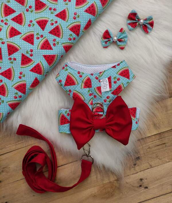 peitoral pet Maria+ guia +par de laço