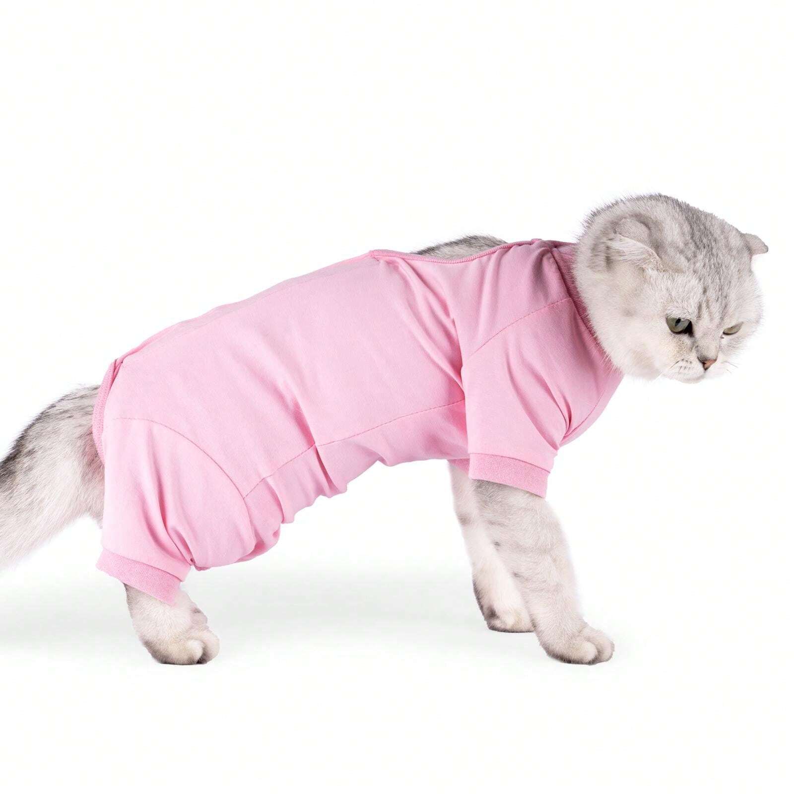 Cat Spaying Recovery Outfit, AntiLick Clothing For Pet PostSurgery