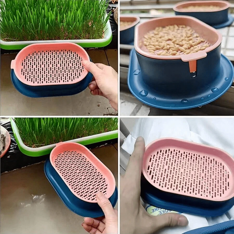Pet Cat Sprout Dish Growing Pot Hydroponic Plant Cat Grass Germination