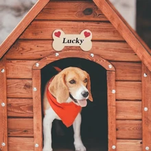 10/20 件空心木制狗骨头和爪子切口，4 英寸/10 厘米，木工 DIY 项目，派对装饰，绘画和手工制作 - 杏色 - 查看 4