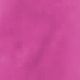 Rosa Fucsia
