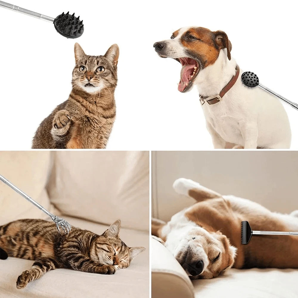 Cactus Scratcher Back Scratcher On A Big Stick, Retractable