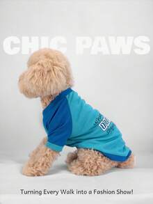 1 Piece, HOLD HONEY, Pet Clothing, Summer Clothing, Puppy Clothing, Pet Clothing, Mesh Fabric, Dog, Summer, Breathable, Mesh, Mesh, T-Shirt, Thin, Short Sleeved, Teddy, Bixiong, Bomei