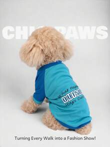 1 Piece, HOLD HONEY, Pet Clothing, Summer Clothing, Puppy Clothing, Pet Clothing, Mesh Fabric, Dog, Summer, Breathable, Mesh, Mesh, T-Shirt, Thin, Short Sleeved, Teddy, Bixiong, Bomei