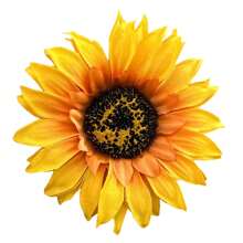 Large Artificial Sunflower Stem Decoration 70cm - Màu vàng - Xem 3