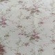 Hoa hồng hoàn toàn mới