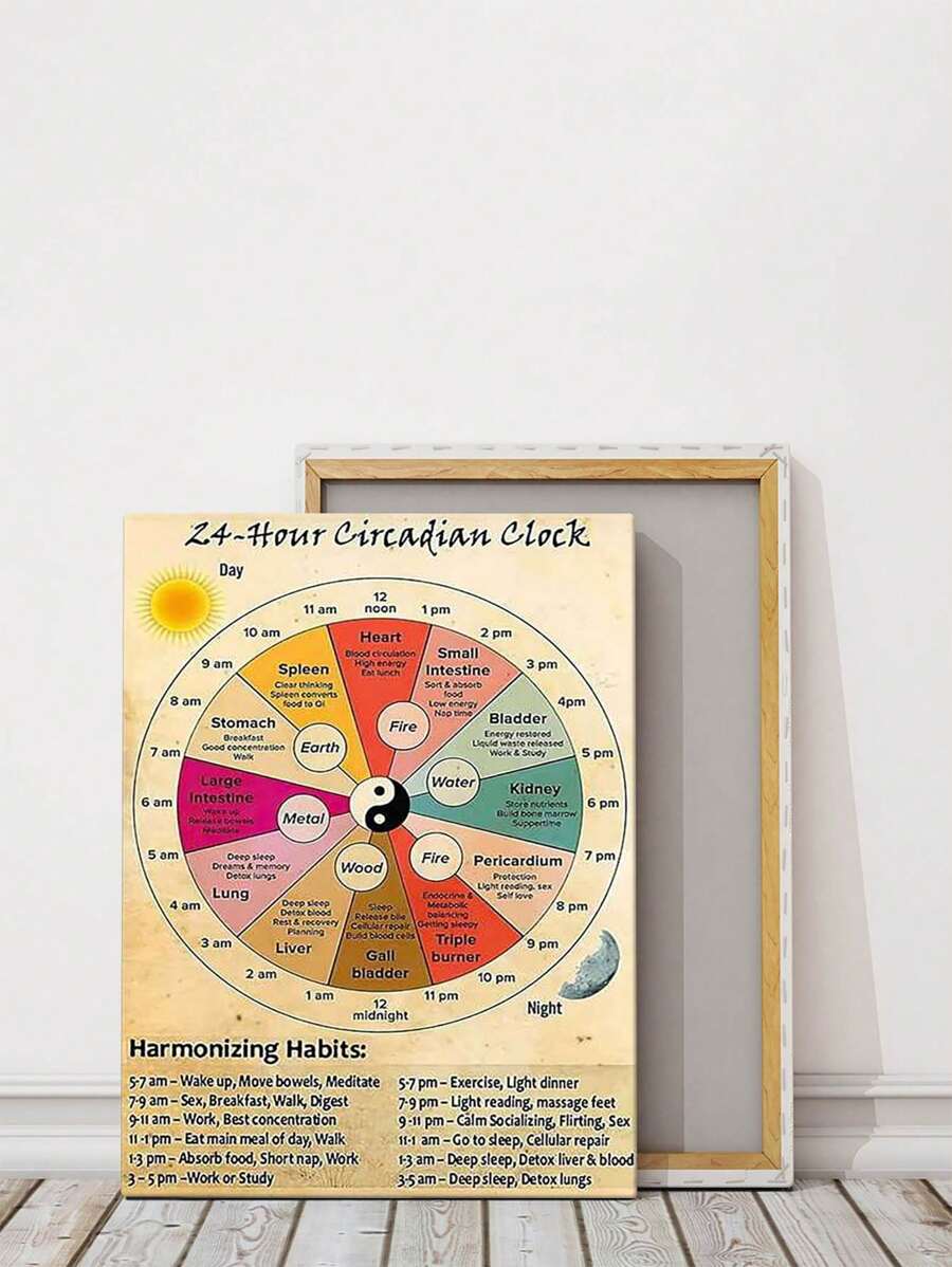 Vintage 24 Hour Circadian Clock Organ Clock Chinese Medicine Healthy