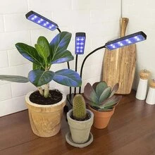 Led Grow Light For Indoor Plant Cultivation Greenhouse Helps Grow - 黑色 - 查看 7