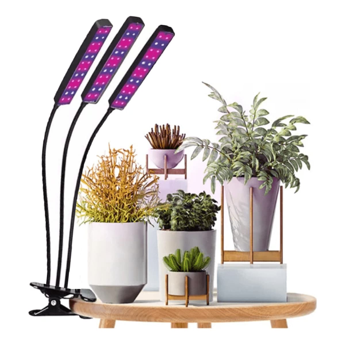 Led Grow Light For Indoor Plant Cultivation Greenhouse Helps Grow - 黑色 - 查看 1