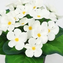 1 件人造花植物盆栽假盆景适用于室内装饰 - 白色 - 查看 3