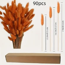 30/60/90 pièces Fleurs séchées de queues de lapin, fleurs séchées de Lagurus ovatus orange, herbe de pampa, arrangement floral séché pour la décoration de style bohème d'automne, mariage d'automne, décoration de ferme de Noël, décoration extérieure, décoration d'automne