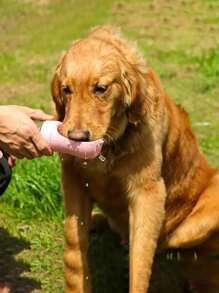 1pc, Portable Dog Water Bottle And Bowl Dispenser - Pet Supplies Dog Water Bottle Outdoor Water Feeding Tumbler To Keep Your Pets Hydrated On The Go Outdoor Water Cup Drinker Water Bottle Camping