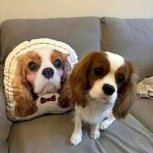 Un reposacabezas personalizable con foto - Cojín con foto familiar personalizado, reversible, ligero, de tela de poliéster tejida de suavidad media, lavable, con cremallera, adecuado para decoración del hogar, el automóvil, la cama y el sofá, regalo perfecto