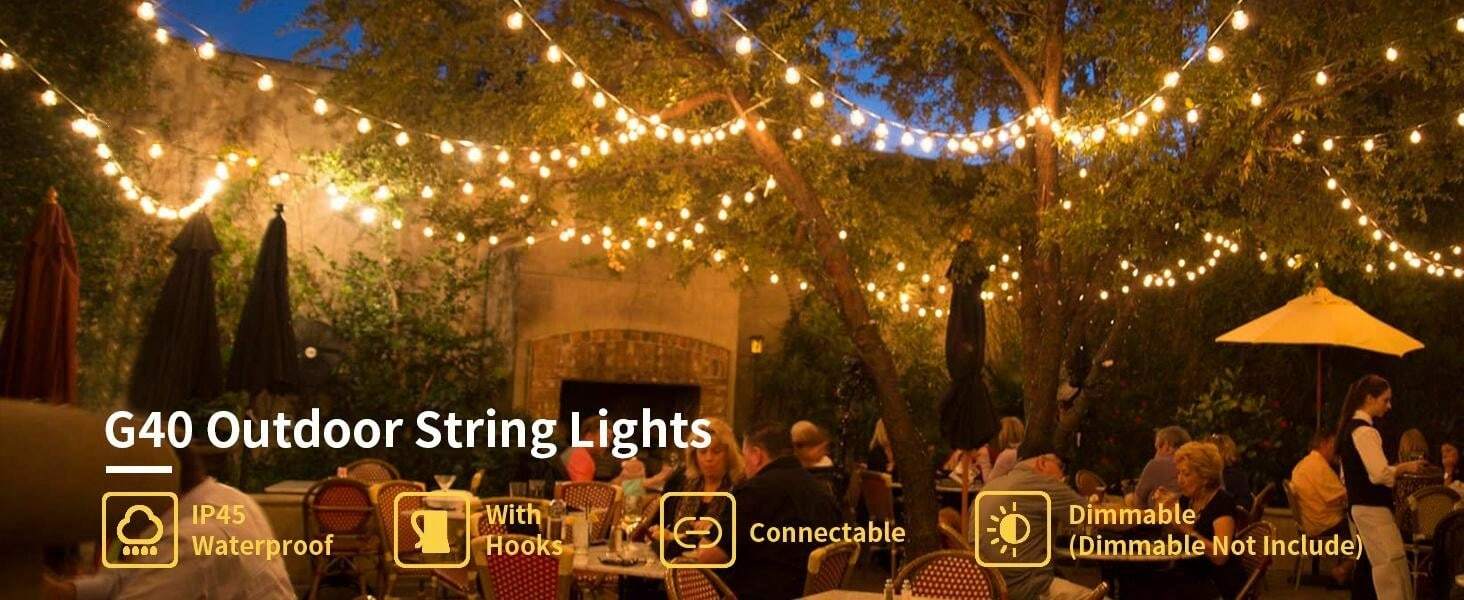 Outdoor String Lights 50Ft, Mains Powered Festoon Lights With 25+1