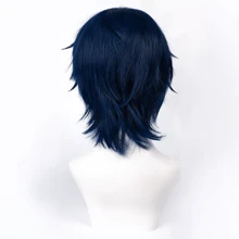 Karida 角色扮演假发短款合成假发，带刘海，14 英寸通用角色扮演假发，适用于合成头发，尖刺分层直发，男士化装舞会假发，无胶耐热纤维头发，高密度自然外观角色扮演假发