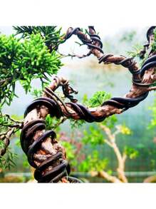 5 متر سلك دعم لتشكيل النباتات والأشجار الصغيرة من الألمنيوم المؤنود لمساعدة تشكيل بونساي، اكسسوارات حديقة بأقطار 1 / 1.5 / 2 / 2.5 / 3 مم