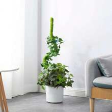 1pc Artificial Moss Pole For Monstera Creepers Climbing Indoor Plant Extension Support Stake Frame - Green - View 5