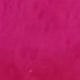 Rosa Fucsia
