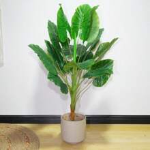Simulation Of Plant Trees For Home Decoration, Wedding Arrangement, Photography Matching