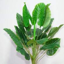 Simulation Of Plant Trees For Home Decoration, Wedding Arrangement, Photography Matching