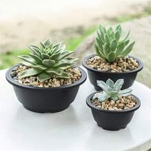 3pcs韩式盆栽多肉大花盆拼盘盆多肉大花盆浅盆大号生石花玉露组花盆 - 黑色 - 查看 10