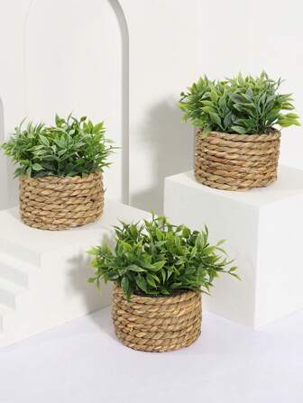 3pcs Artificial Rattan Small Potted Plant, Seagrass Rope, Three Pieces Of The Same Body A Models, Green, PE Material, Polyester Fibre Material, Desktop Decorations, School Dormitory Office Decorations Home Decor Back To School Room Decor School Supplies