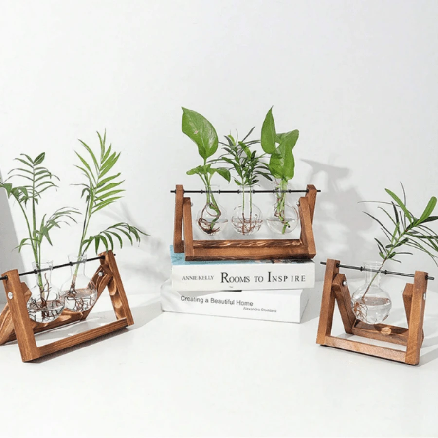 Potted Plant Glass Container With Wooden Stand, Bulb Glass Vase With