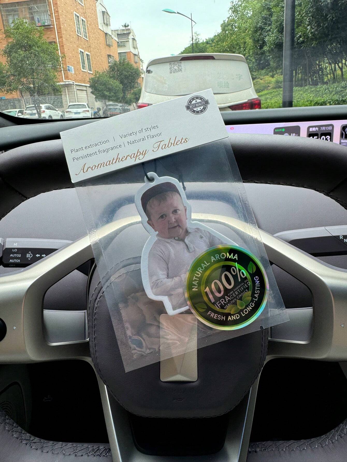 Captain Hasbulla Funny Emoticons, Wardrobe Air Freshener, Perfume, Rear