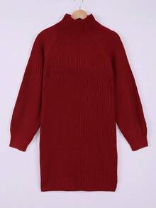 Plus Size Solid Color Turtleneck Long Sleeve Loose Knitted Sweater Dress, Casual Everyday Wear, Winter