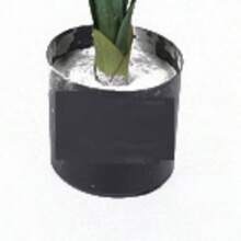 Simulation Of Plant Trees For Home Decoration, Wedding Arrangement, Photography Matching