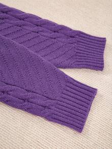 Plus Size Crew Neck Casual Long Sleeve Solid Color Knit Sweater, For Winter - Purple - View 10