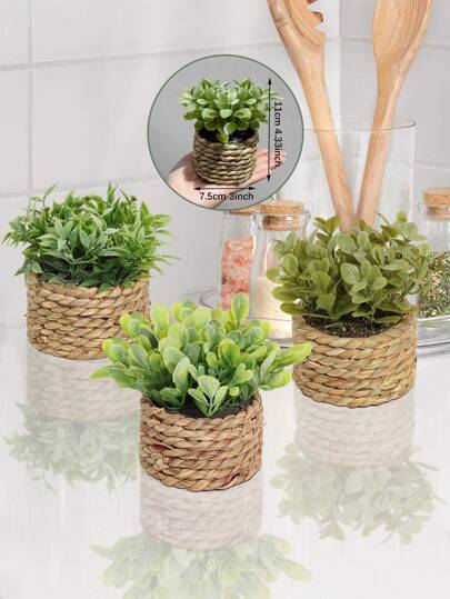 3pcs/Set Artificial Rattan Miniature Potted Plants, Woven From Seaweed Rope, Available In Three Distinct Designs. Green In Colour, Crafted From PE Material. Ideal For Tabletop Decoration, Enhancing School Dormitories, Offices, Or Home Interiors. An Excellent Choice For Gift-Giving.