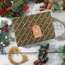 100 sợi dây thẻ cao cấp 7,87in, dây treo thẻ bền chắc có vòng ghim, dây buộc cho đồ trang trí cây thông Noel, đồ thủ công tự làm và gắn thẻ quà tặng - Nhiều màu - Xem 7