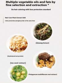 Cayirom 300克/套未漂白染发剂套装，包含染发工具，快速吸收，有效遮盖白发，夏季热销染发剂，有机中性植物萃取染发剂，适合所有发质，2024天然植物基无刺激染发剂，适合家庭染发和沙龙使用。 - 彩色 - 查看 9