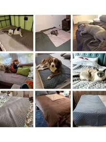 Double-Sided Waterproof Pet Bed Mat, Pet Blanket, Sofa Furniture Protector Cover, Suitable For Small/Medium/Large Cats, Dogs, Small Animals, Max Weight Capacity 34kg