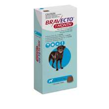 Bravecto 1M en presentación 20 a 40kg - Azul - Ver 1