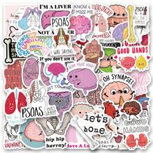 60 Piezas Pegatinas con chistes de anatomía - Pegatinas de vinilo estéticas para scrapbooking, diario, portátil, parachoques, monopatín, botella de agua, ordenador, teléfono, dibujos animados, casco, pegatinas y calcomanías de coche: anatomía, pegatinas de anatomía, pegatinas, pegatinas de enfermería, pegatinas sarcásticas, pegatinas divertidas de memes