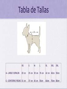 DISFRAZ PERRINA HALLOWEEN DIA DE MUERTOS PARA MASCOTA CATRINA - Multicolor - Ver 3