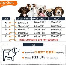 1pc Pet Clothes, Dogs, Small Dogs, Teddy, Clothes With Traction Rope, Cats, Bears, Bomei, Corgi, Autumn Skirt - Multicolor - View 9