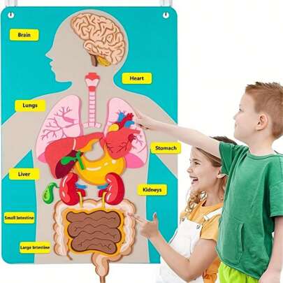 Juego de Aprendizaje Interactivo de Anatomía Corporal: Órganos de Fieltro Coloridos para Niños