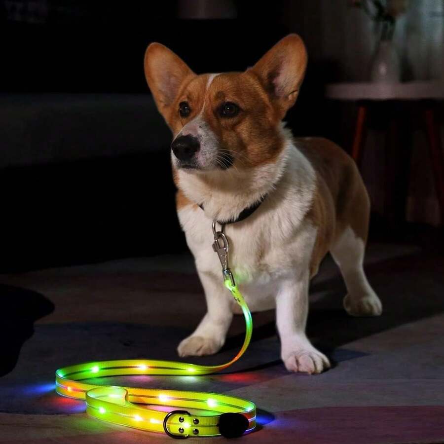 1pc USB Rechargeable 5 Color LED Glowing Dog Collar, Luminous Pet Leash