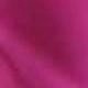 Pink Rose