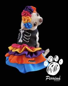 DISFRAZ PERRINA HALLOWEEN DIA DE MUERTOS PARA MASCOTA CATRINA - Multicolor - Ver 1
