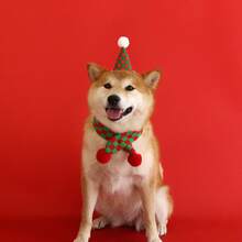 2 cái/bộ Giáng sinh thú cưng mèo chó dễ thương sáng tạo mũ ông già Noel và khăn quàng đỏ, thích hợp cho trang trí tiệc Giáng sinh, phụ kiện trang phục cho thú cưng Giáng sinh, Giáng sinh - Nhiều màu - Xem 9