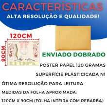 Foot Reflex Areas Map Reflexology Poster Anatomy Folded Color:Paper - 白色 - 查看 4