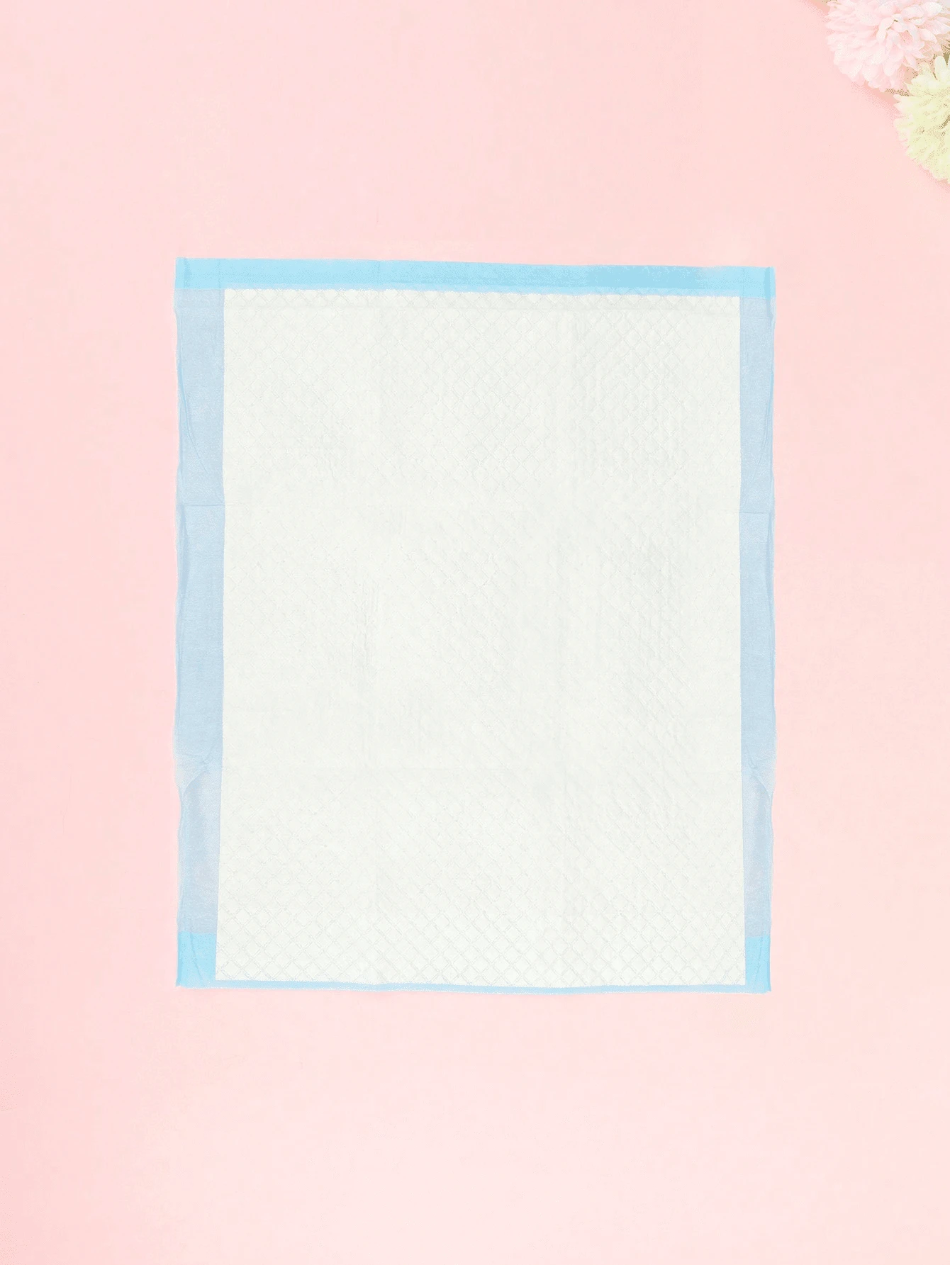 5pcs Pack Powerful Absorbent Disposable Pet Pee Pads, Dog Training