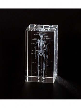 Modelo de cristal con diseño de pulmón anatómico grabado con láser, decoración para el hogar y la oficina, regalo para neumólogos