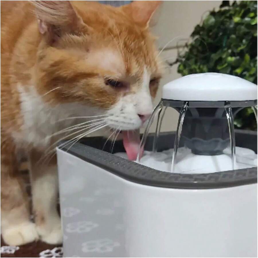 Drinking Fountain Water Fountain For Dog Cat Pet Dog Pet Tank 2.5