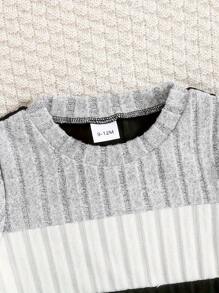 2pcs Baby Boys Casual Outfit Set With Contrast Color Long Sleeve Top And Pants, Suitable For Spring And Autumn